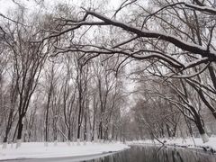 -长白岛森林公园