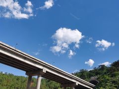 -西双版纳原始森林公园