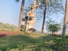 -广州莲花山旅游区