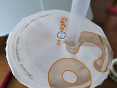 -CoCo都可(骆家庄新店)