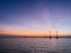 -宝安西湾红树林湿地公园