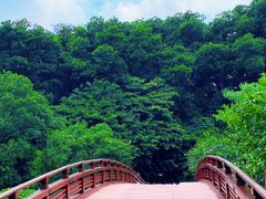 -云溪植物园