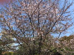 -同济大学(嘉定校区)