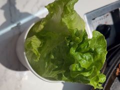 -一烙锅(友谊店)