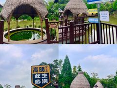 -美的鹭湖森林度假区