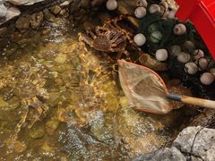 -綱元·海鲜豆捞(明州里店)