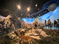 -陕西自然博物馆