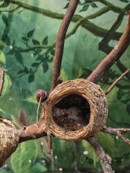 -Zoolung Zoolung动物主题公园(海信广场店)