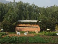 -瓦厂酒店