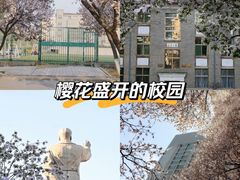 -山东师范大学(千佛山校区)