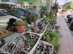 -陈记烧鹅茶餐厅(世和路店)