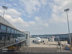 -青岛胶东国际机场