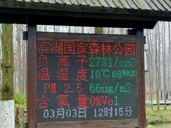 -合肥滨湖国家森林公园