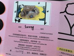 -美联众合动物医院·24h转诊中心