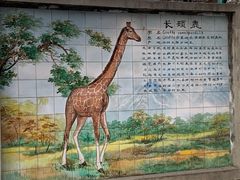 -保定市动物园