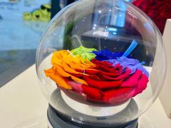 -ROSEONLY诺誓(青岛万象城店)