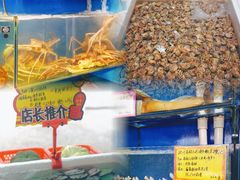 -蚝专家(北滘店)