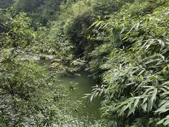 -华蓥山天意谷景区