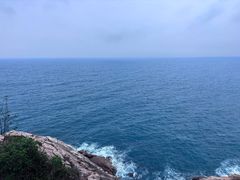 -广东惠东海龟国家级自然保护区