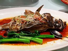 鲜花椒蒸老虎斑-Yan Ting 宴庭中餐厅(上海静安瑞吉酒店)