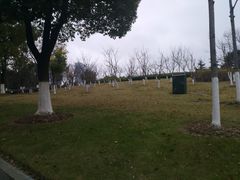 -白塘生态植物园