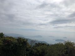-亚龙湾热带天堂森林公园