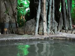 -龙达温泉生态城