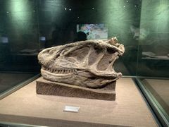 -自贡恐龙博物馆