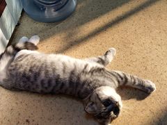 -毛华美食(清扬路店)