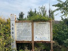 -五龙城郊森林公园