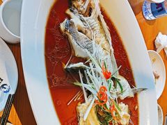 -丹江渔村(望京店)