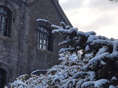 -张学良旧居陈列馆