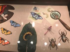 -芊彩餐厅(迪士尼探索家度假酒店)