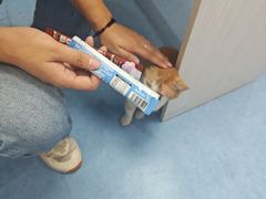 -博特宠物医院24h犬猫全科.骨科·异宠