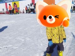 -华彬猛犸滑雪场