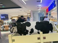 -红星前进面包牛奶公司(君太店)