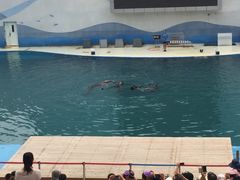 -北戴河圣蓝海洋公园