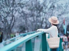 -白塘生态植物园