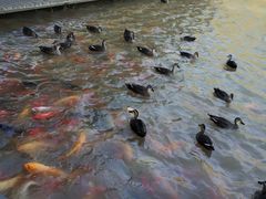 -泰安地下龙宫景区