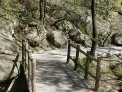 -王顺山国家森林公园