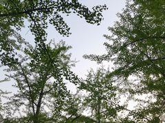 -北京奥林匹克公园