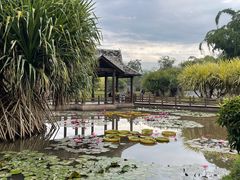 -中国科学院西双版纳热带植物园