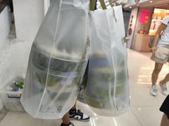 -珍妮曲奇聪明小熊(尖沙咀店)
