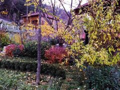 -麦积山温泉