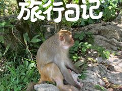 -黔灵山公园