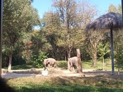 -北京野生动物园