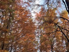 -云龙湖旅游景区