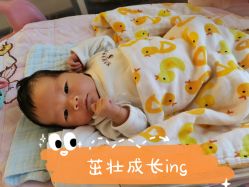 -宝生月子中心(民治店)