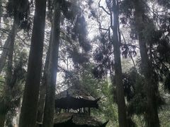 -青城山