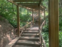 -大岭沟猕猴桃谷风景区